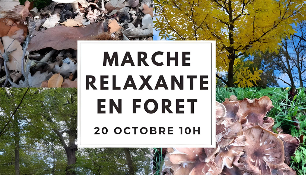 marche relaxante foret saint germain en laye